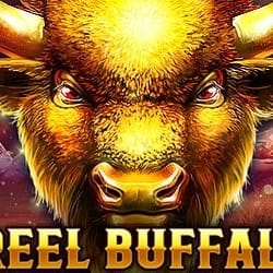 1 Reel Buffalo game thumbnail